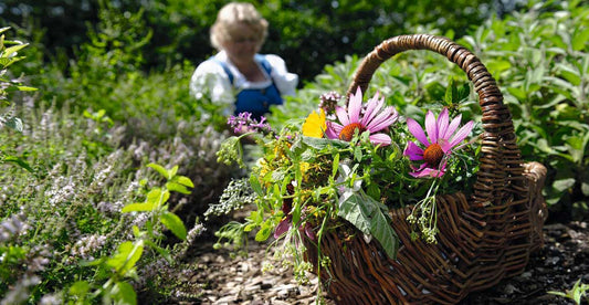 TCM und TEN im Vergleich