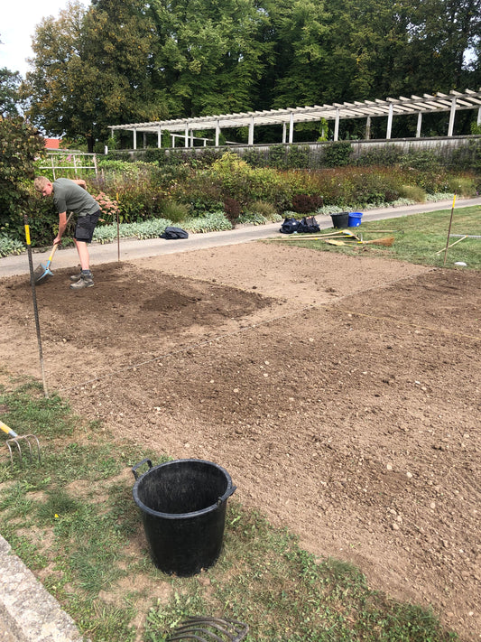 Ein gesunder Rasen beginnt im Herbst