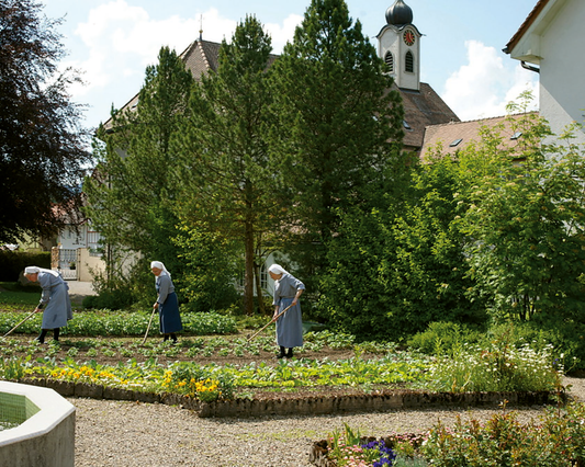 Im Garten Eden