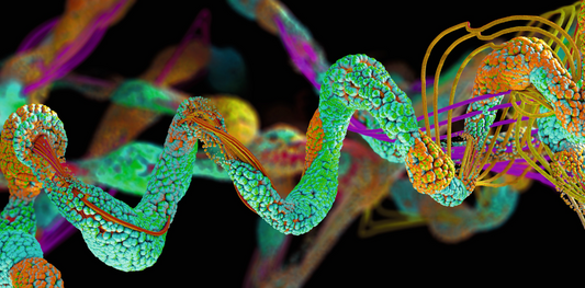 Die Bausteine des Lebens