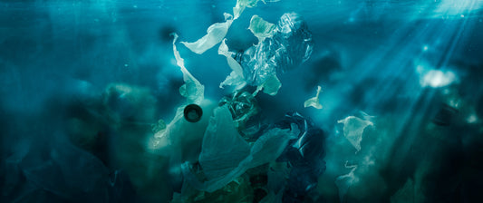 Mikroplastik in unseren Gewässern