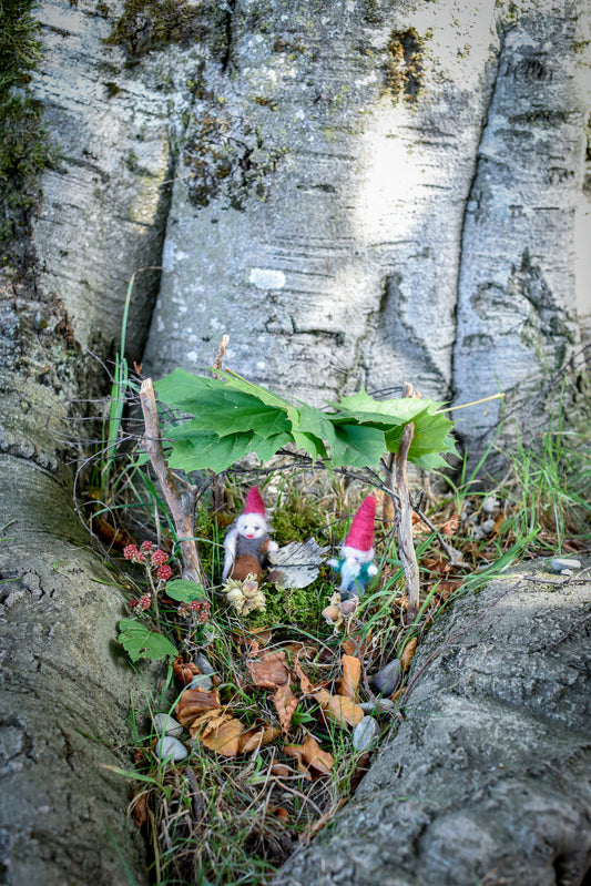 Den Wald mit Kinderaugen neu entdecken