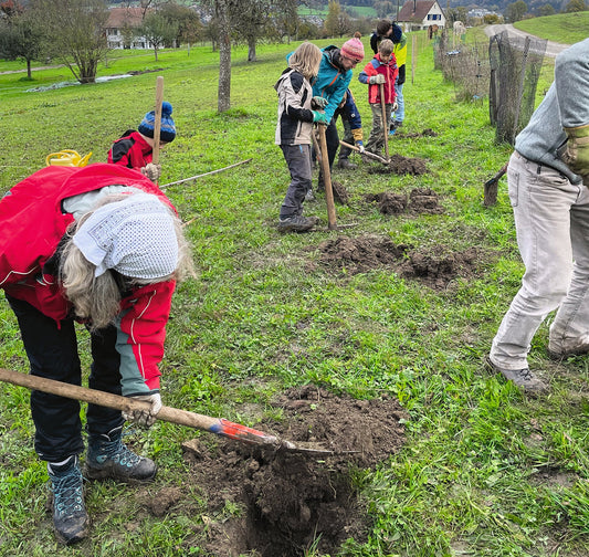 Natur: 170 000 Stunden Freiwilligenarbeit im BirdLife-Netzwerk