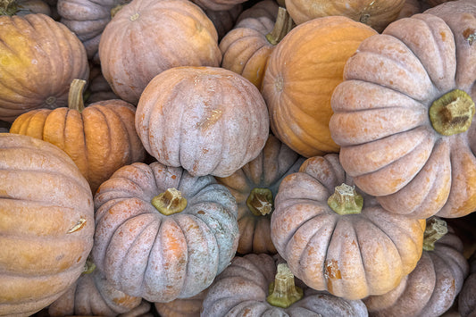 Pikante Kürbis-Ribollita wärmt an kalten Tagen