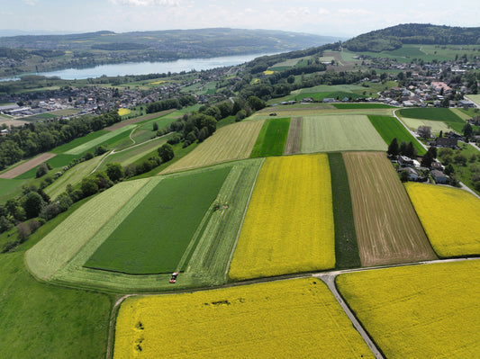 Frühlingsanfang in den Bauernregeln