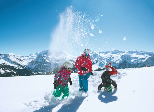 Ein Wintertraum im Simmental