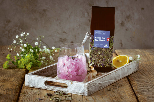 Ein Traum von Sommerfrische