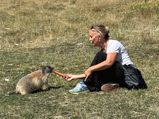 Getarnte Tomaten und gefrässige Murmeltiere