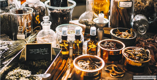 Traditionelle Tibetische Medizin