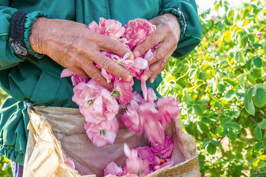 In 80 Beautygeheimnissen  um die Welt