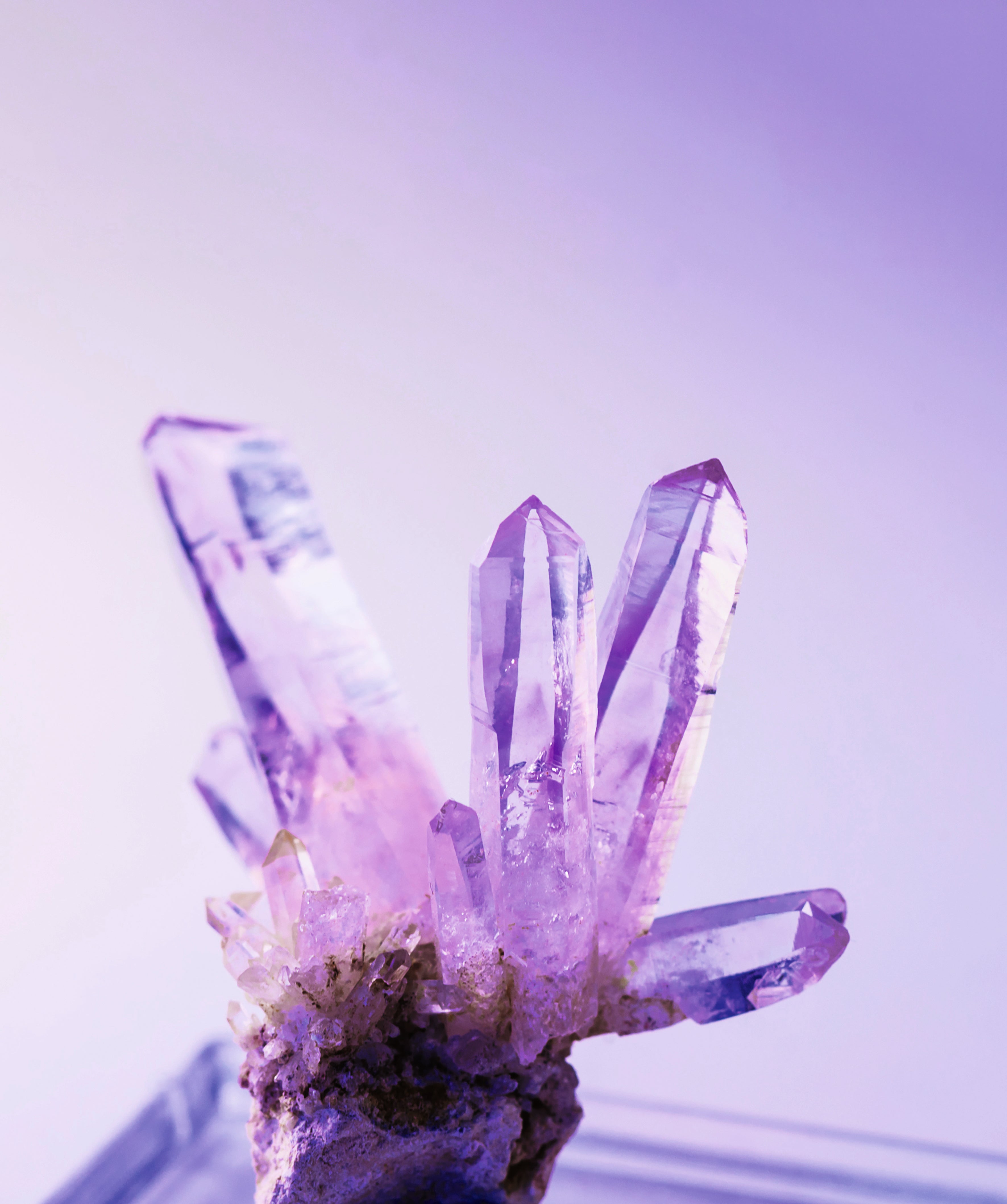 Der Stein Sei Mit Dir Natuerlich online Der Stein Sei Mit Dir Natuerlich online