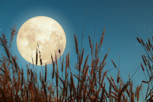 Taktgeber Mond