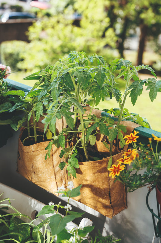 Gartenparadies auf Balkonien