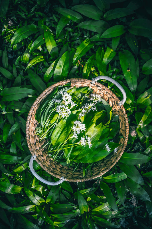 Gesundheitstipp: Bärlauch