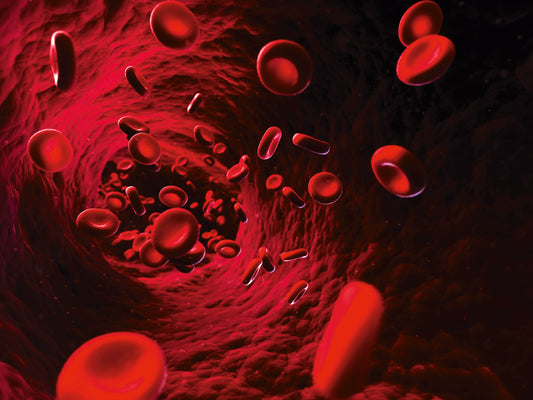 Lebenselexir Blut