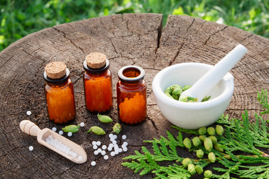 «Der Kostenanteil der Homöopathie in der Grundversicherung ist sehr gering»