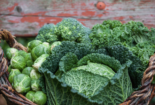 Klimafreundliche Vitaminbombe