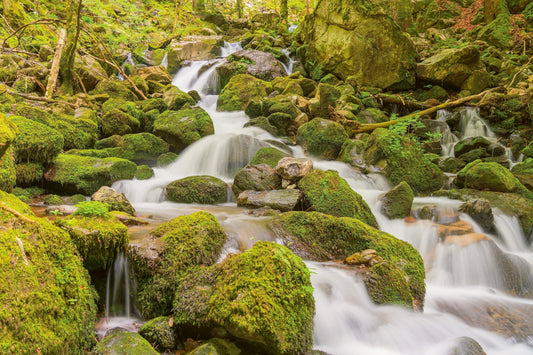 Biotope der Behaglichkeit