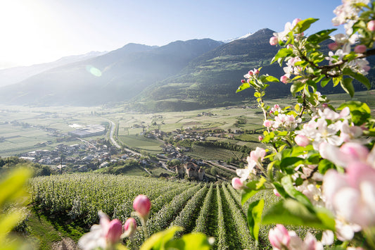 Vinschgau: Ferien im Garten Eden