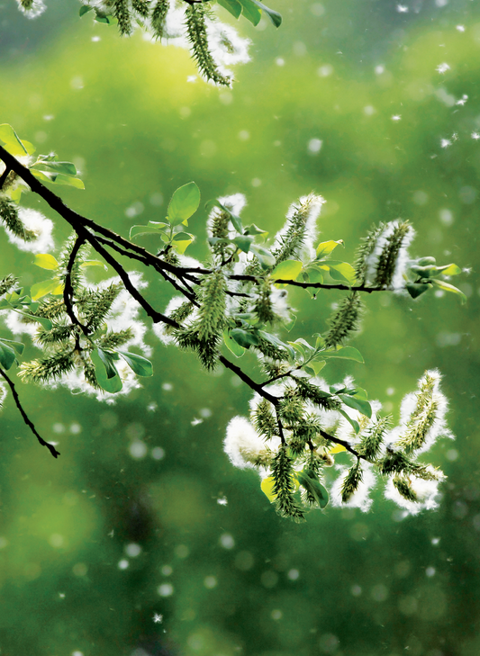 Winzlinge im Anflug