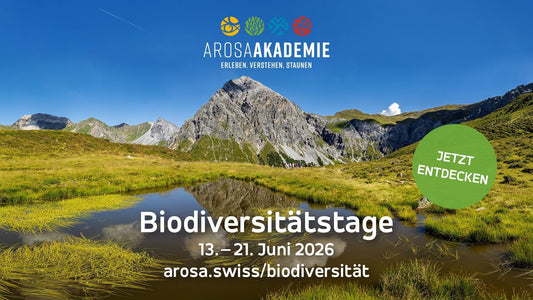 Biodiversitätstage Arosa vom 13. bis 21. Juni 2026