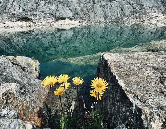 Unterwegs auf dem Nägelisgrätli am Grimselpass