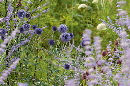 Hallo Garten, was steht an?
