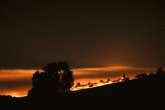 Wenn der Nebel leuchtet