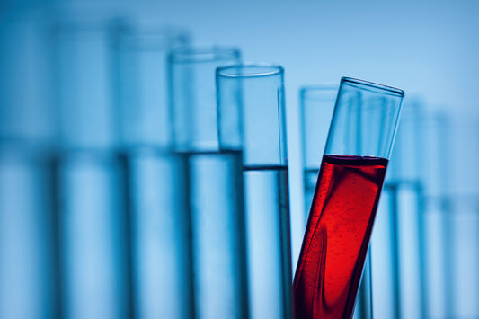 Blut – ein begehrtes ­Heilmittel