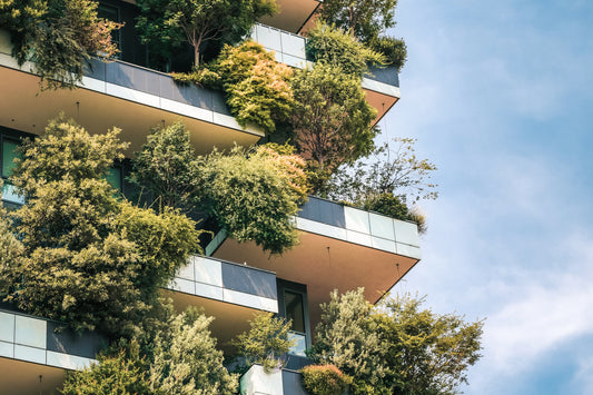 Wohnformen und neue Normen – Klima, Kosten und Komfort