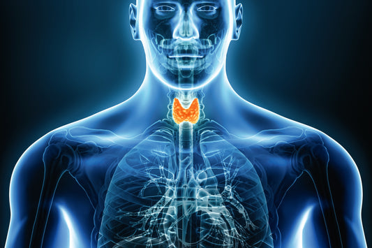 «Ich war gleichzeitig hyperaktiv und übermüdet»