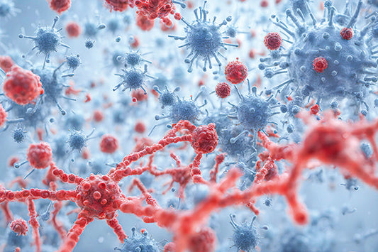 Starke Abwehr mit natürlichen Kräften