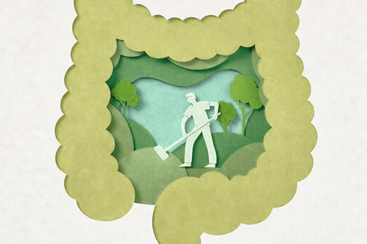 Wenn der Darm seine Schutzfunktion verliert