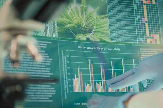 Wohin sich die Cannabis-Medizin bewegt