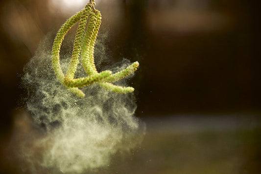Die unsichtbare Belastung